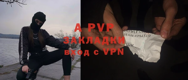 спайс Богородицк