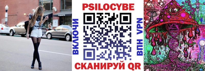 Купить  Валуйки  Псилоцибиновые грибы Psilocybine cubensis 